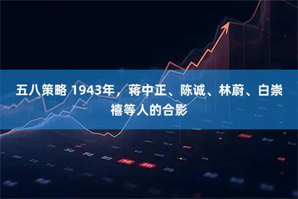 五八策略 1943年，蒋中正、陈诚、林蔚、白崇禧等人的合影