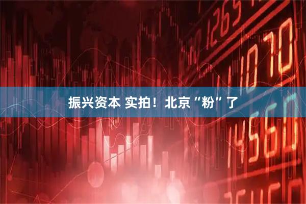 振兴资本 实拍！北京“粉”了