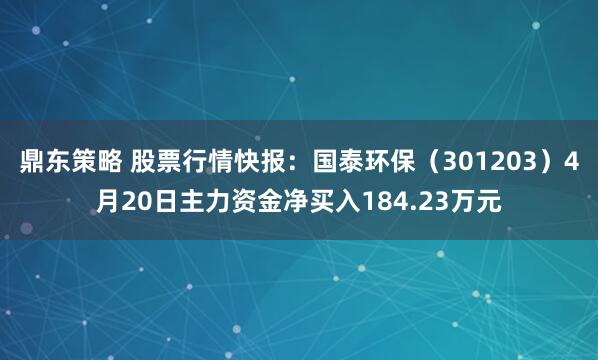 鼎东策略 股票行情快报：国泰环保（301203）4月20日主力资金净买入184.23万元