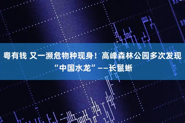 粤有钱 又一濒危物种现身！高峰森林公园多次发现“中国水龙”——长鬣蜥